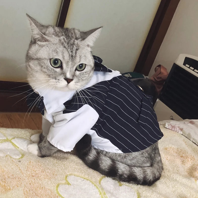 貓咪煲呔馬甲服