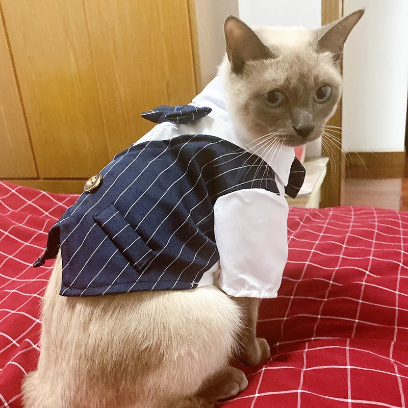 貓咪煲呔馬甲服