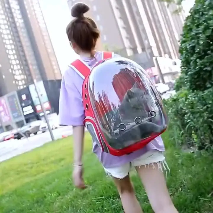 透明貓咪背包攜帶箱（帶通風窗口，多種款式，適合戶外旅行和貓咪運輸）