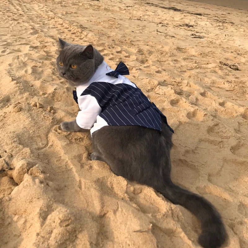 貓咪煲呔馬甲服