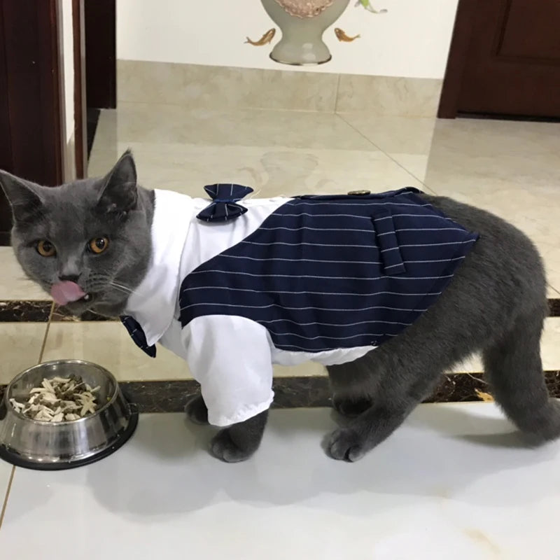 貓咪煲呔馬甲服