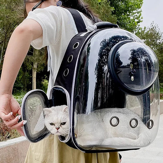 catbagcarrier1